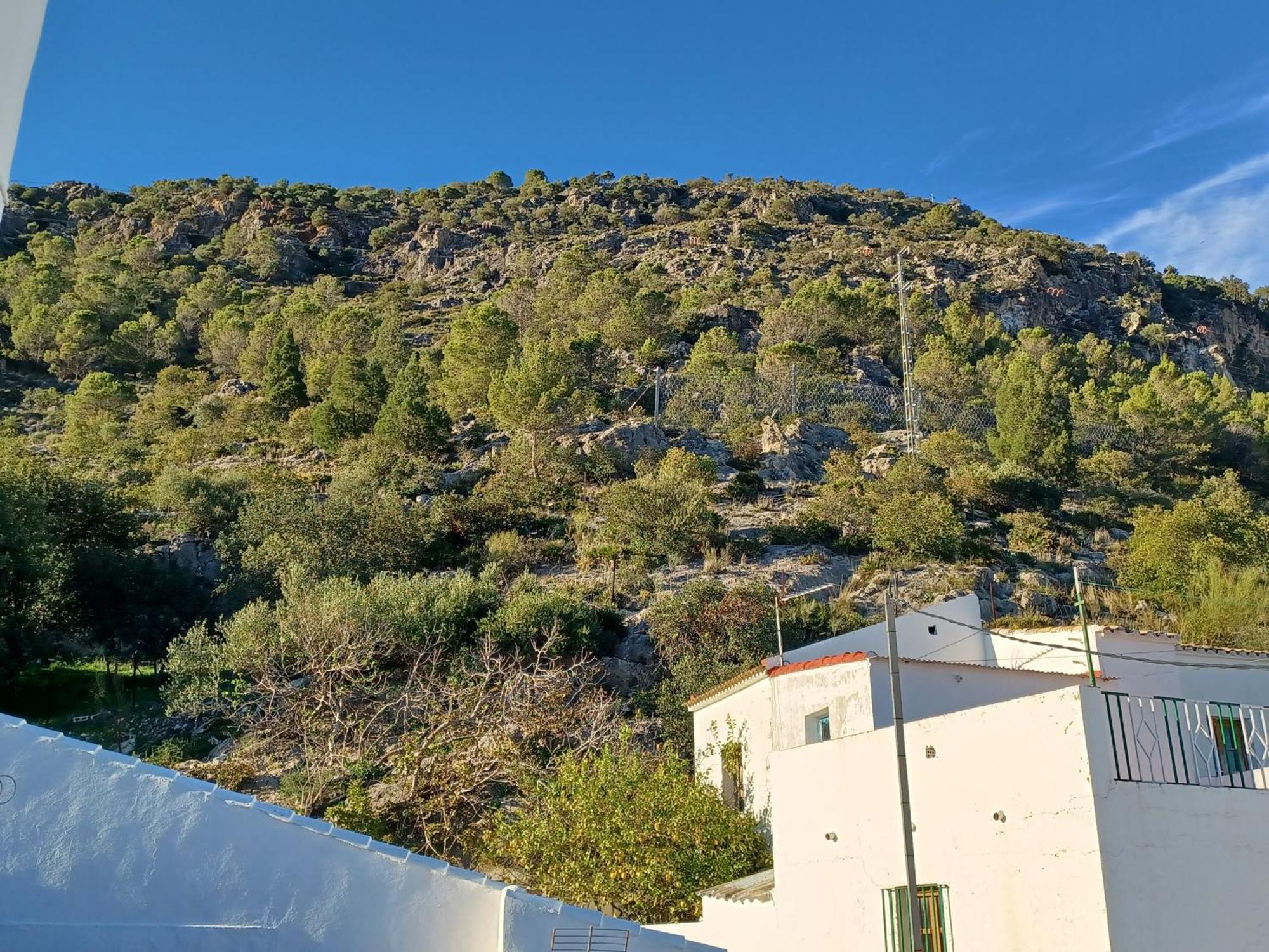 Casa Manuela. Algodonales Villa Bagian luar foto